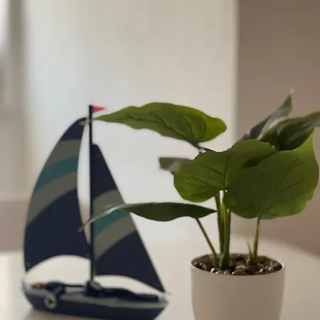 아파트 Apartmani Storic 보디체