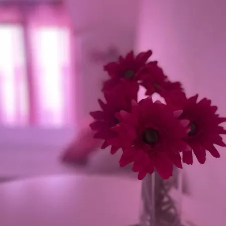 Mirko Storic דירה