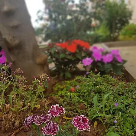 Apartmani Storic * Водице