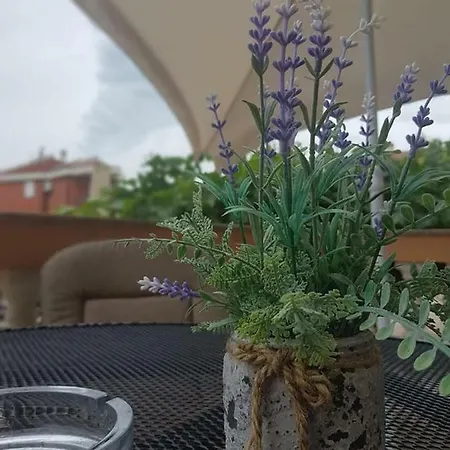 Apartmani Storic 보디체