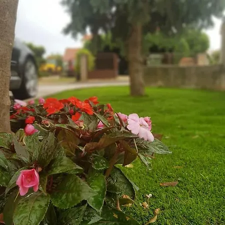 Apartmani Storic 보디체