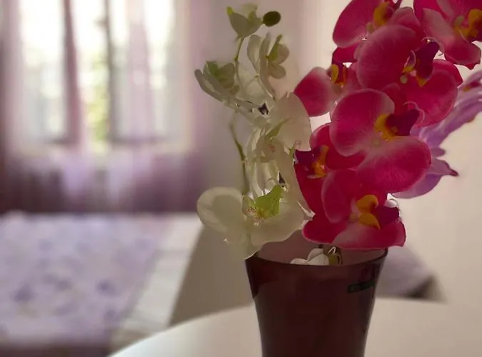 Apartman Apartmani Storić