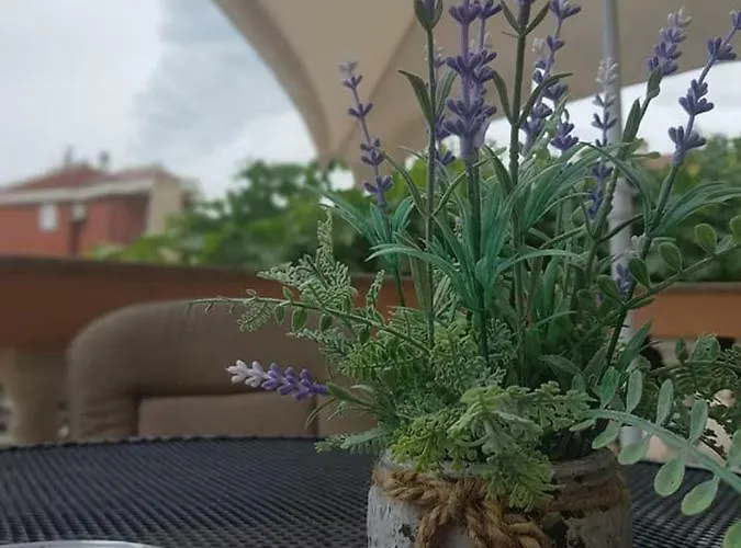 Apartmani Storić Vodice