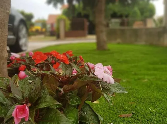 Apartmani Storić Vodice